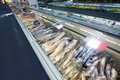 Refrigerator with frozen fish - PhotoDune Item for Sale