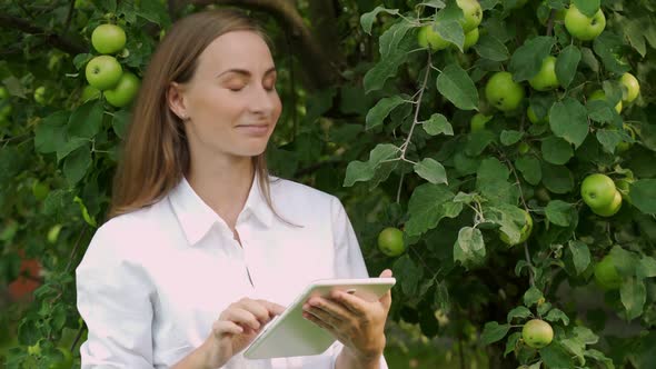 Young Woman in a White Shirt with a Tablet Checks the Growth of Apples on Green Trees in the Garden