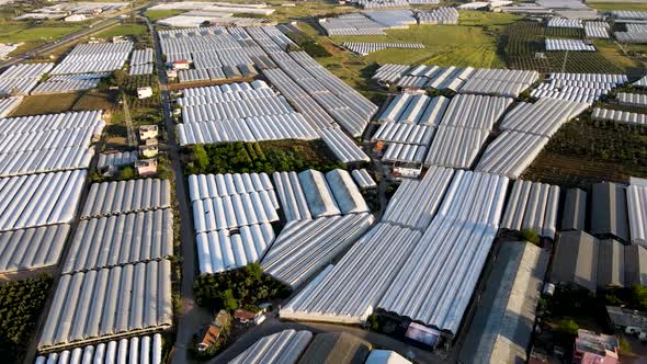 Greenhouse Farming