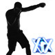 Boxing Silhouette - VideoHive Item for Sale