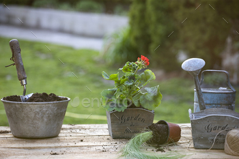 Gardening tools and flowers on a table. / Photodune, Misc