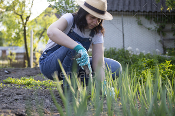 Closeup photo of woman digging out onion with spade / Photodune, Misc