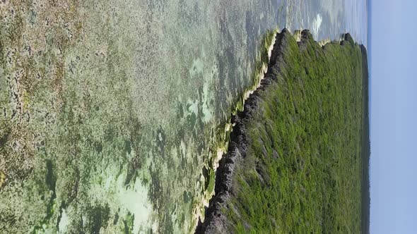 Zanzibar Tanzania  Ocean Shore Covered with Green Thickets Vertical Video Aerial View