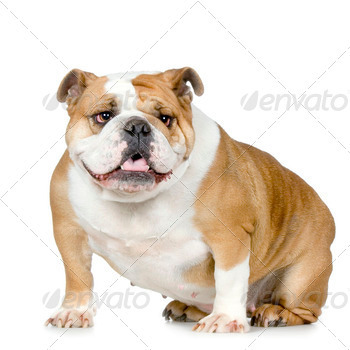 of a white background