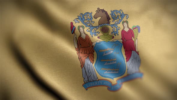 New Jersey State Flag Angle
