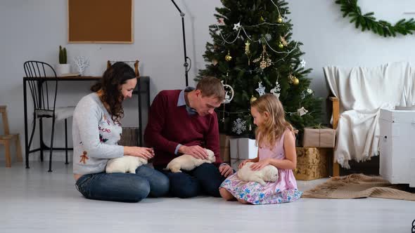 Family with Puppies Sitting By Christmas Tree