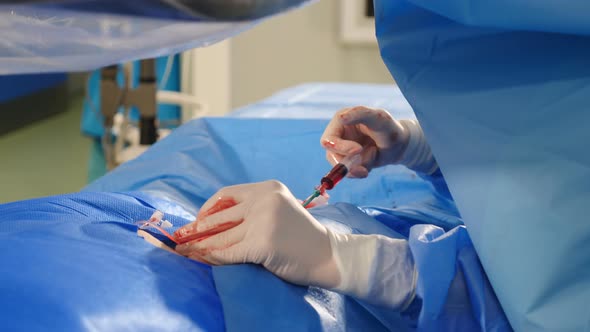 Vascular Surgery in Modern Clinic