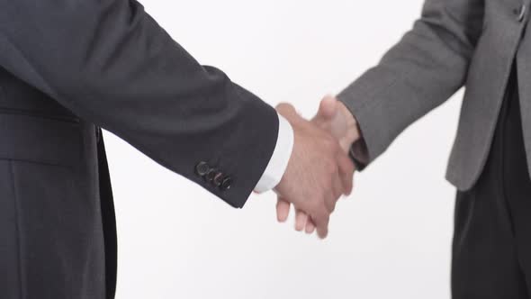 Businesspeople Having Handshake