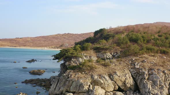 Rocky Cape in the Marine Reserve