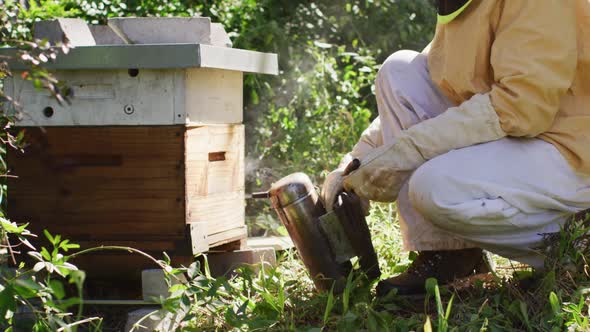 Caucasian male beekeeper in protective clothing using smoker to calm bees in a beehive