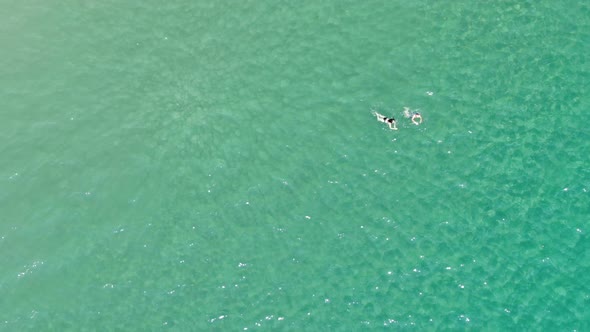 Aerial View of Man and Woman Swimming in Clear Sea