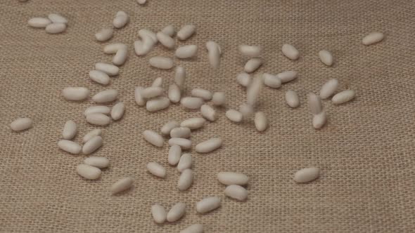White beans cannellini legumes rotating on jute background