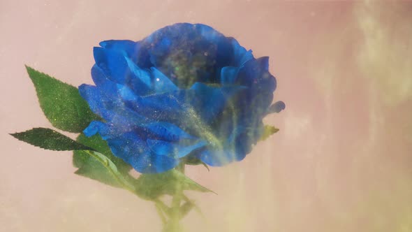 Golden Magical Dust Floating Around Bright Blue Rose Underwater