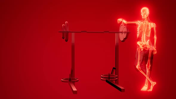 Man in Gym Room with Visible Bones alt