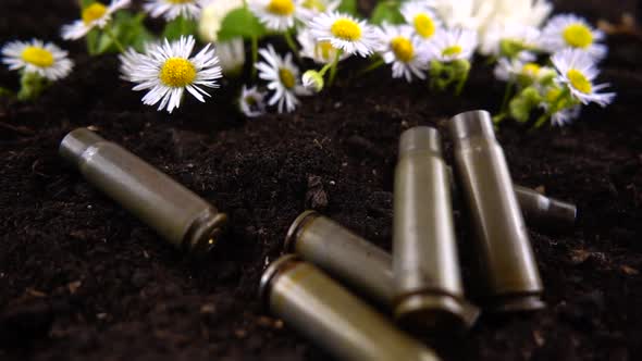 Bullet casings fall to the ground and chamomile flowers. Slow motion. alt