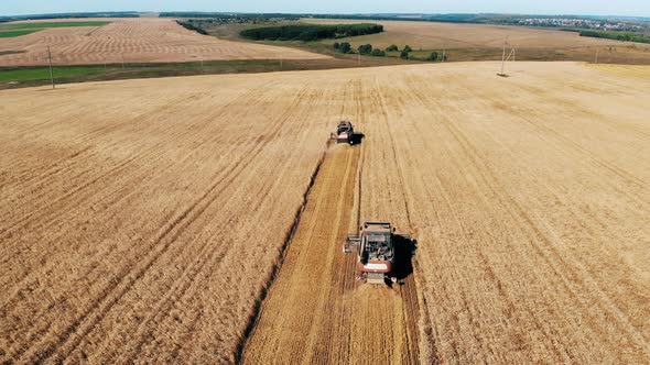 Mechanical Combines Are Moving Along a Vast Field in a Top View