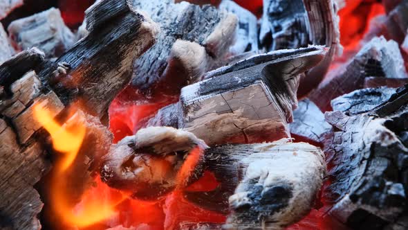 Burning Fire Closeup in the Fireplace