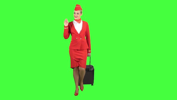 Stewardess Walks and Rolls the Suitcase. Green Screen