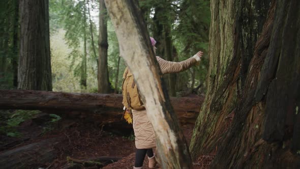 Woman Supporting Environment Palm Giant Tree Trunk with Bark Covered Green Moss