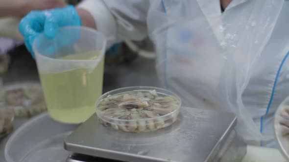 Female Worker Hand Pours Oil From a Plastic Jug Into a Jar of Fish Preserves. Fish Preserves