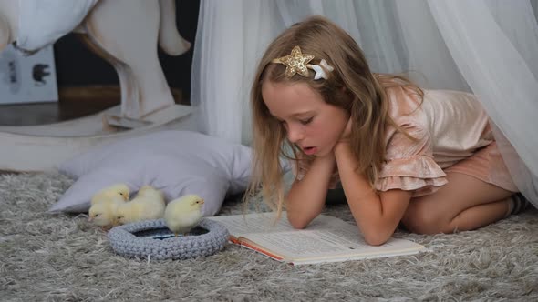 Cute Little Girl is Reading a Book with Chickens alt