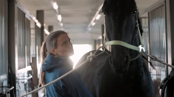 Woman Rider Taking Care of a Black Horse and Brushing It in the Stable