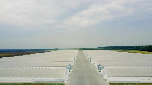 View Of Poultry Houses