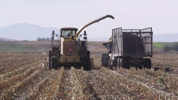 Empty truck pulling up next to combine