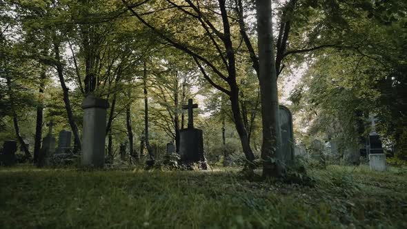 Mysterious Walk Around Graves in European Old Cemetery. The Concept of Horror. Slow Motion.