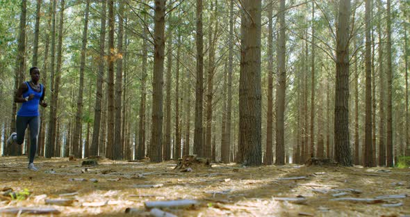 Woman jogging in the forest 4k