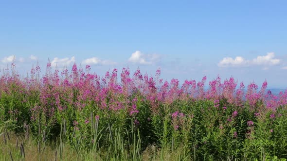 Beautiful landscape in Balkan Mountains