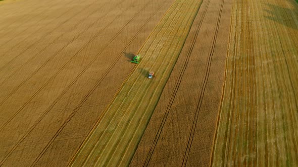 Harvester combine and driving truck with grain in agriculture wheat field. Aerial view. Harvesting