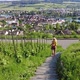 Woman Running in the Swiss Vineyards - VideoHive Item for Sale