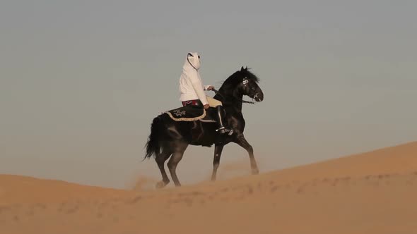 Arabian Horse Rider Riding on Desert in Dubai
