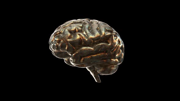 Abstract Human Brain with Rainbow Reflections Looped Animation