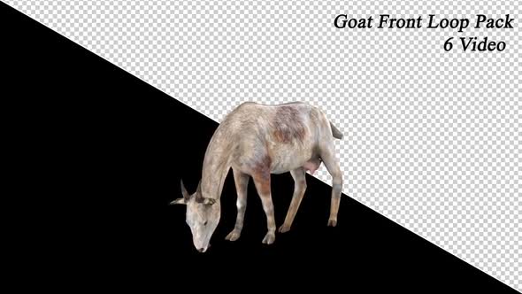 Front View Goat Loop Pack alt