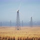 Beautiful 3D Animation Of A Large Number Of Wind Turbines - VideoHive Item for Sale
