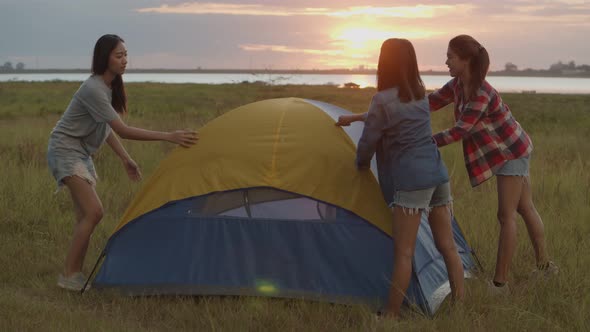 Group of a young Asian women camping pitch a tent while sunset enjoying having fun together a summer