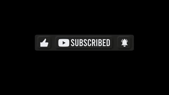 Youtube Subscribe Button