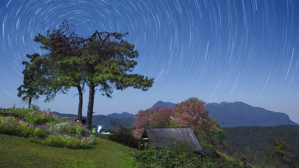 Beautiful Star Trail.