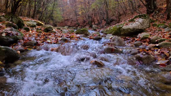 River with Flowing Water in Autumn Day