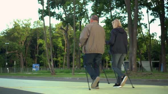 Pensioners are Engaged in Nordic Walking in the Park