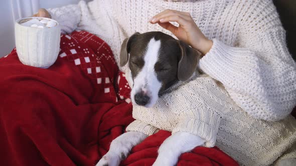 Dog Sitting On Woman's Knees, Cozy Winter Holiday Concept.