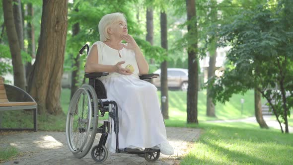 Wide Shot of Thoughtful Disabled Senior Woman Sitting in Wheelchair Outdoors and Smelling Healthful