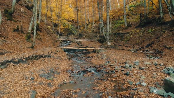 Small Brown Bridge Over Mountain Stream Among Fallen Leaves