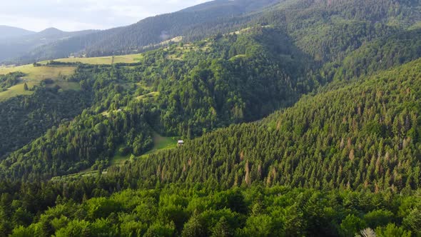 Beautiful Forest Aerial Footage