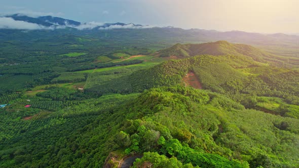 Drones are flying over tropical forests and large farmland