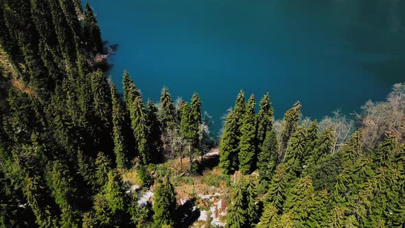 Drone View of the Mountain Lake in the Middle of a Coniferous Forest