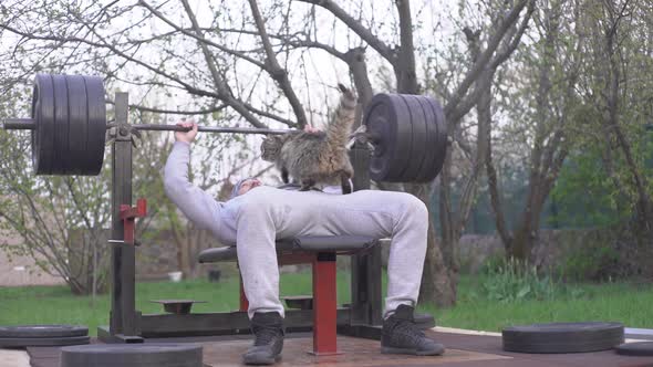 Funny Cat Does Not Allow a Man to Train