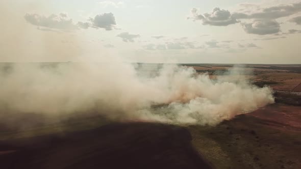 Burning Landfill of Household Waste in the Field